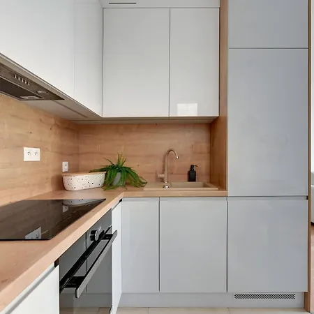 公寓 Front Park With Parking By Lion 格但斯克